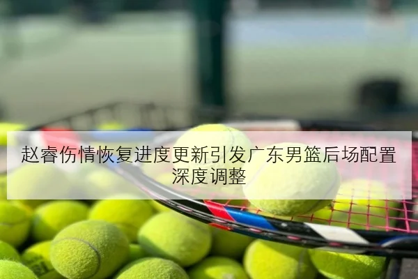 赵睿伤情恢复进度更新引发广东男篮后场配置深度调整